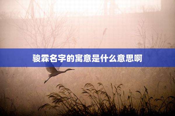 骏霖名字的寓意是什么意思啊