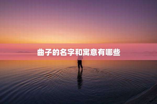 曲子的名字和寓意有哪些