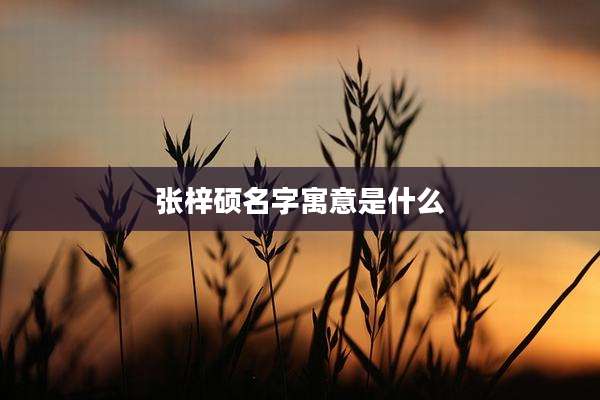 张梓硕名字寓意是什么