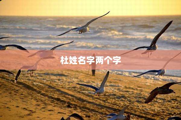 杜姓名字两个字
