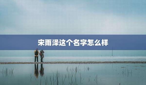 宋雨泽这个名字怎么样