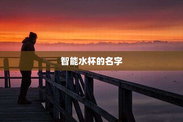 智能水杯的名字