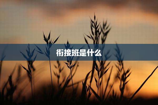 衔接班是什么
