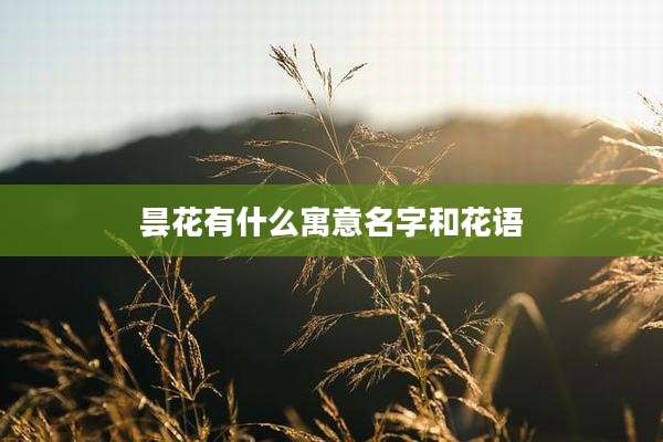 昙花有什么寓意名字和花语