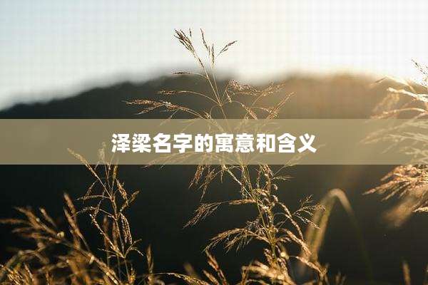 泽梁名字的寓意和含义