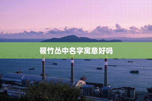 筱竹丛中名字寓意好吗