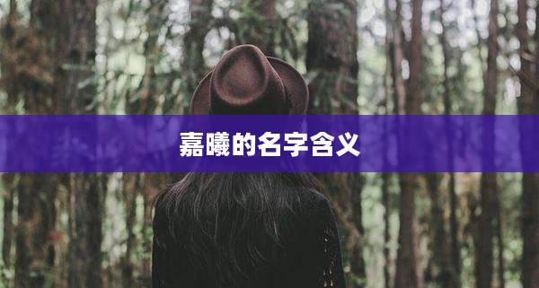 嘉曦的名字含义