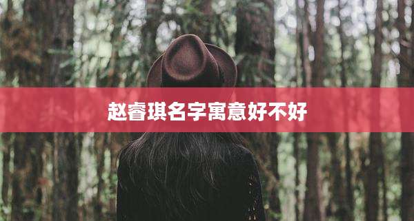 赵睿琪名字寓意好不好