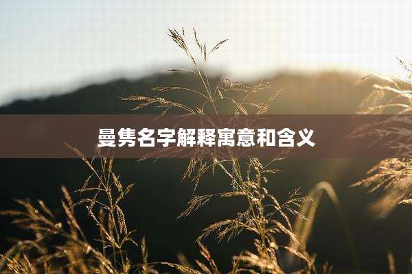 曼隽名字解释寓意和含义