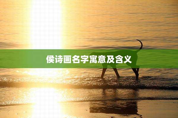 侯诗画名字寓意及含义