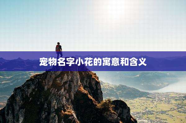 宠物名字小花的寓意和含义