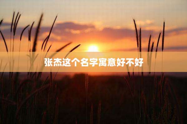 张杰这个名字寓意好不好