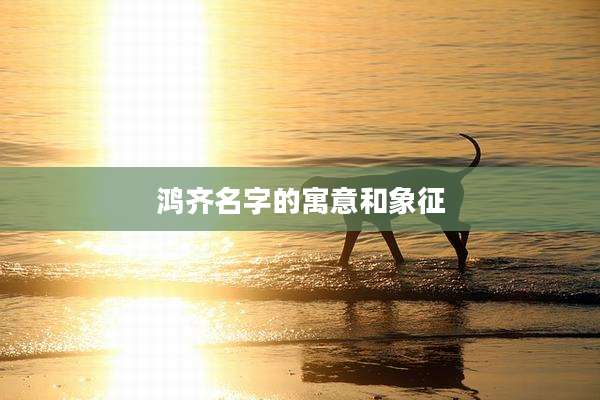 鸿齐名字的寓意和象征