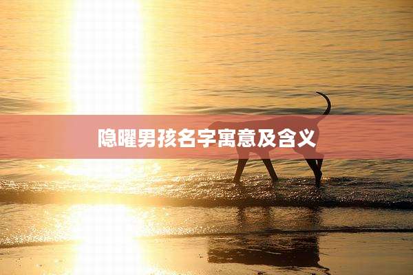 隐曜男孩名字寓意及含义
