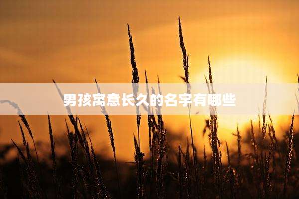 男孩寓意长久的名字有哪些