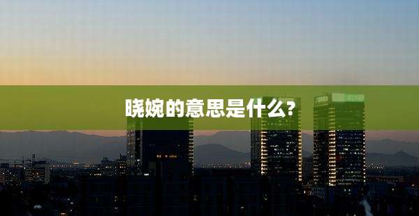 晓婉的意思是什么?