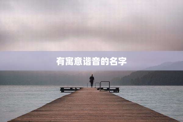 有寓意谐音的名字