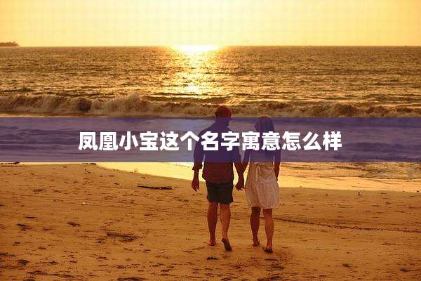 凤凰小宝这个名字寓意怎么样