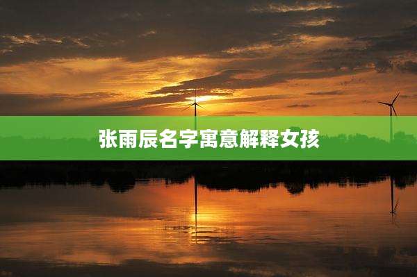 张雨辰名字寓意解释女孩