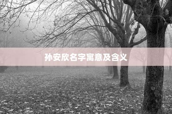 孙安欣名字寓意及含义