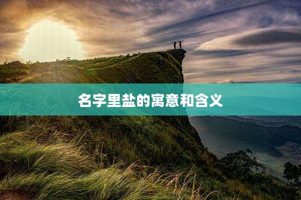 名字里盐的寓意和含义