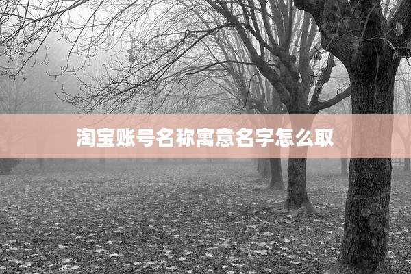 淘宝账号名称寓意名字怎么取