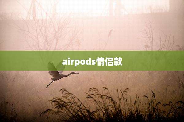 airpods情侣款