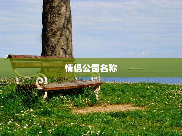 情侣公司名称