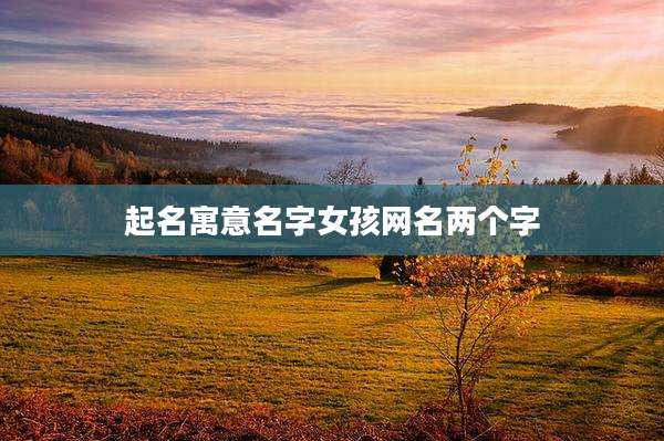 起名寓意名字女孩网名两个字