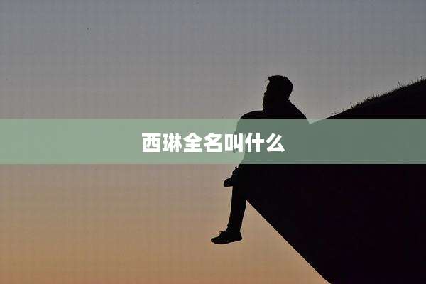 西琳全名叫什么