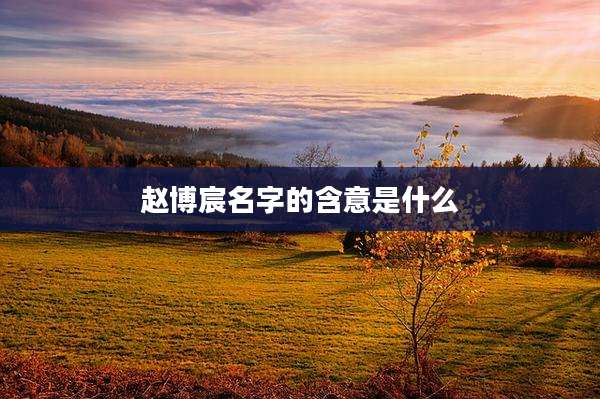 赵博宸名字的含意是什么