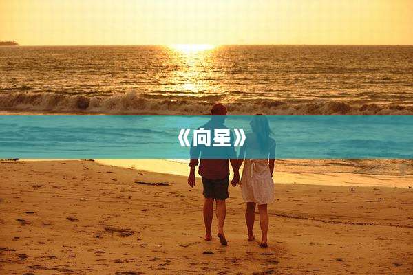 《向星》