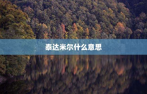 泰达米尔什么意思