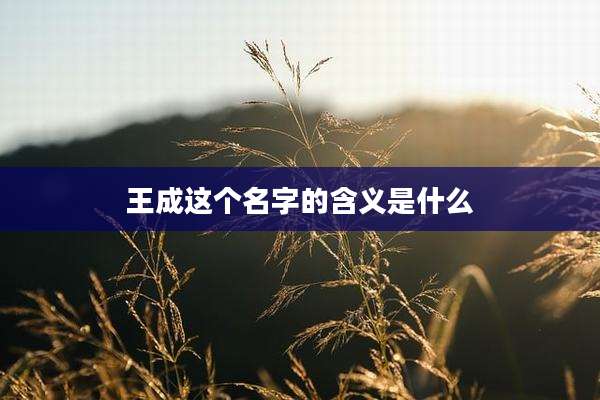 王成这个名字的含义是什么