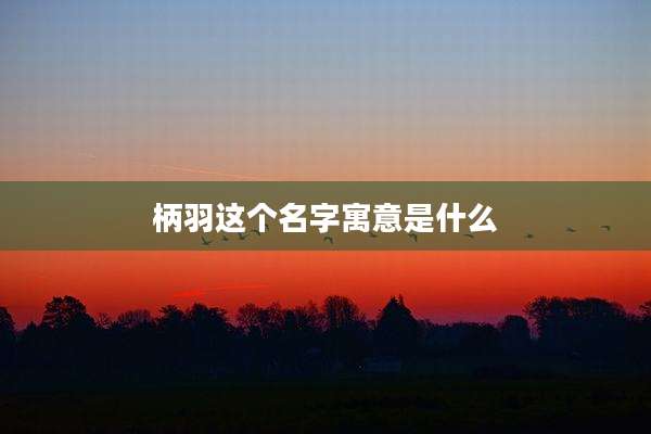 柄羽这个名字寓意是什么