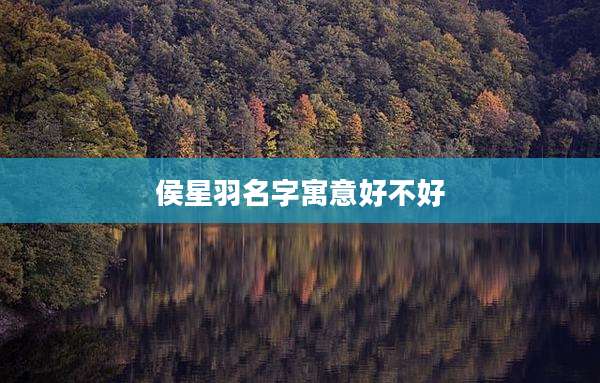 侯星羽名字寓意好不好