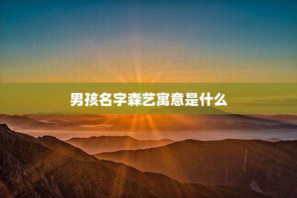 男孩名字森艺寓意是什么