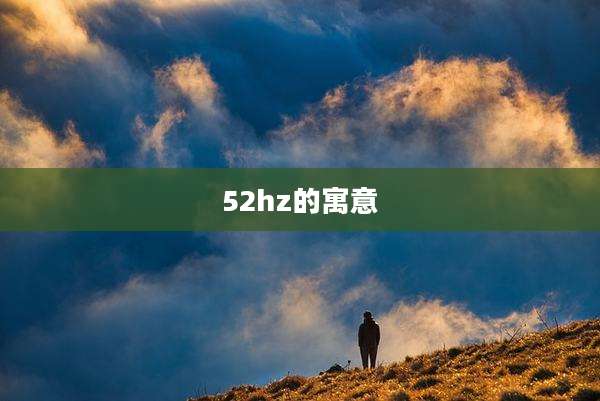 52hz的寓意
