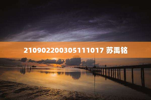 210902200305111017 苏禹铭
