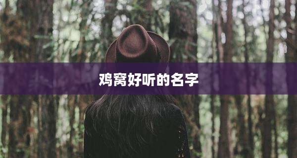 鸡窝好听的名字