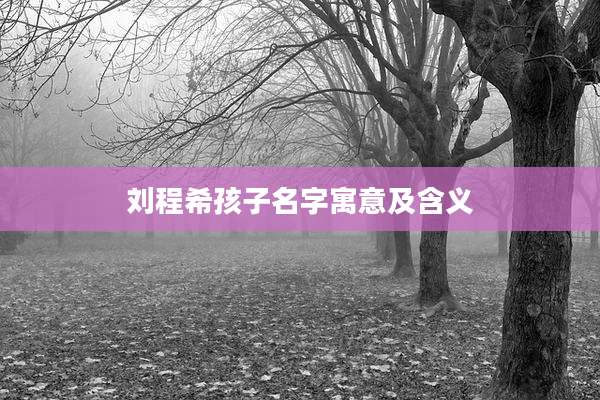 刘程希孩子名字寓意及含义