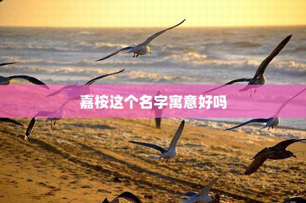 嘉桉这个名字寓意好吗