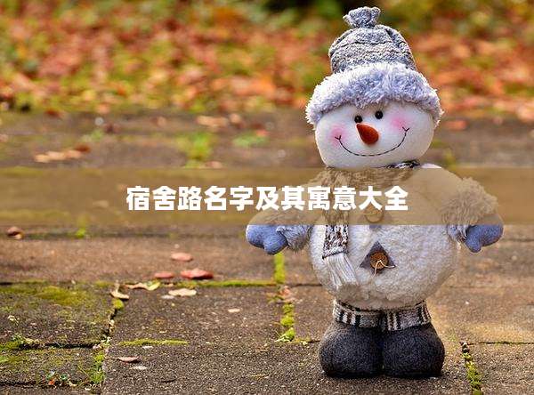 宿舍路名字及其寓意大全
