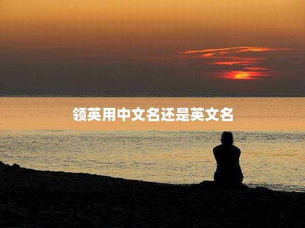 领英用中文名还是英文名