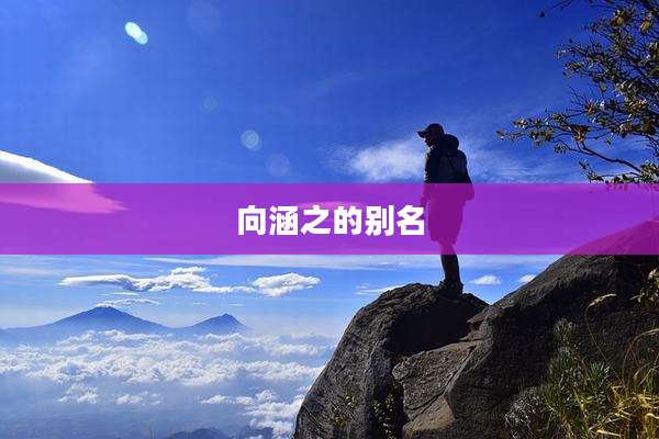 向涵之的别名