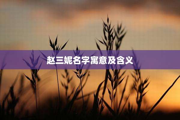 赵三妮名字寓意及含义
