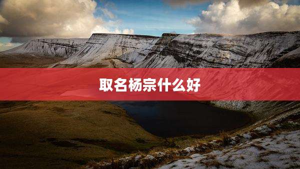 取名杨宗什么好