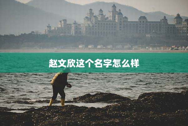 赵文欣这个名字怎么样