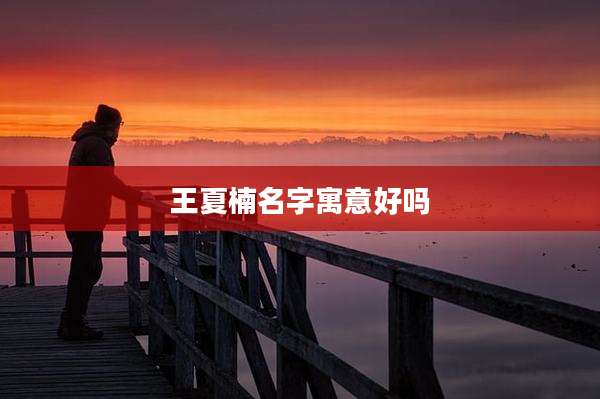 王夏楠名字寓意好吗