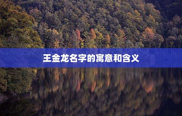 王金龙名字的寓意和含义